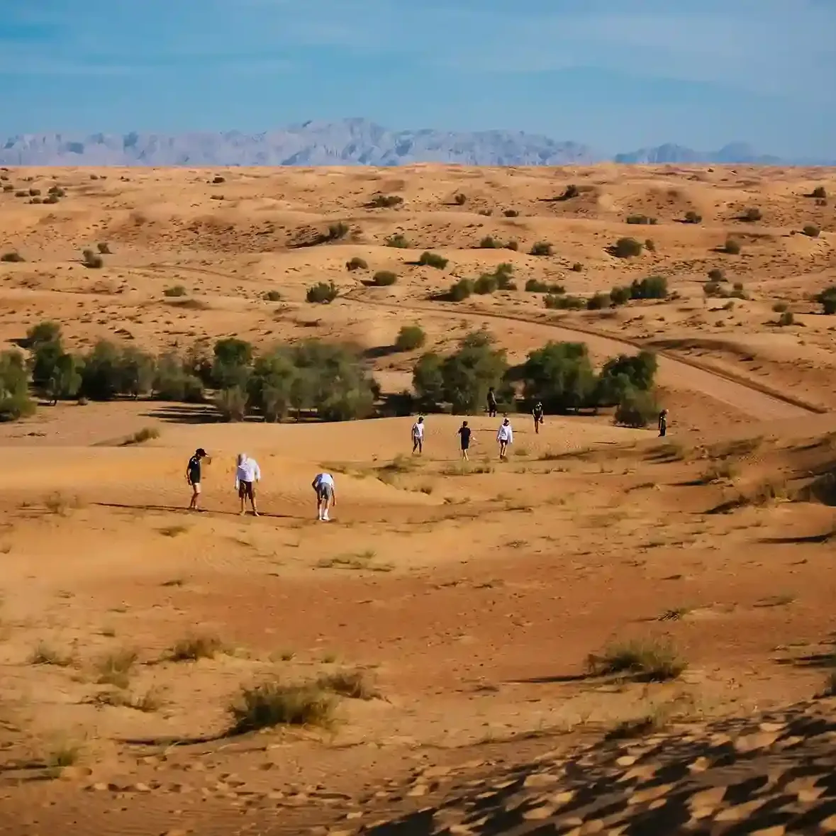 Luxury desert eco camp experience in Dubai desert reserve