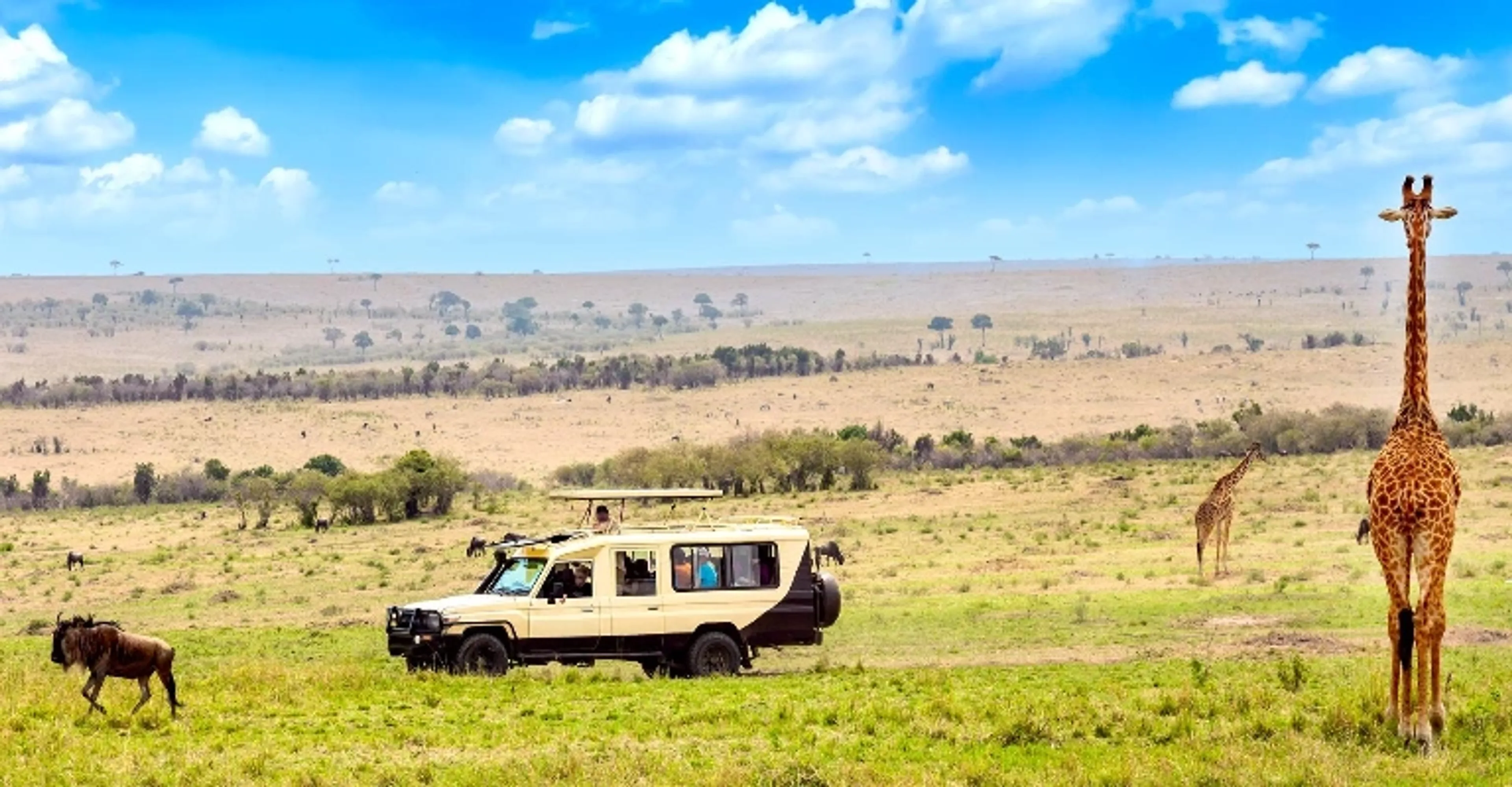 Safari vehicle on a game drive in the Masai Mara, Kenya