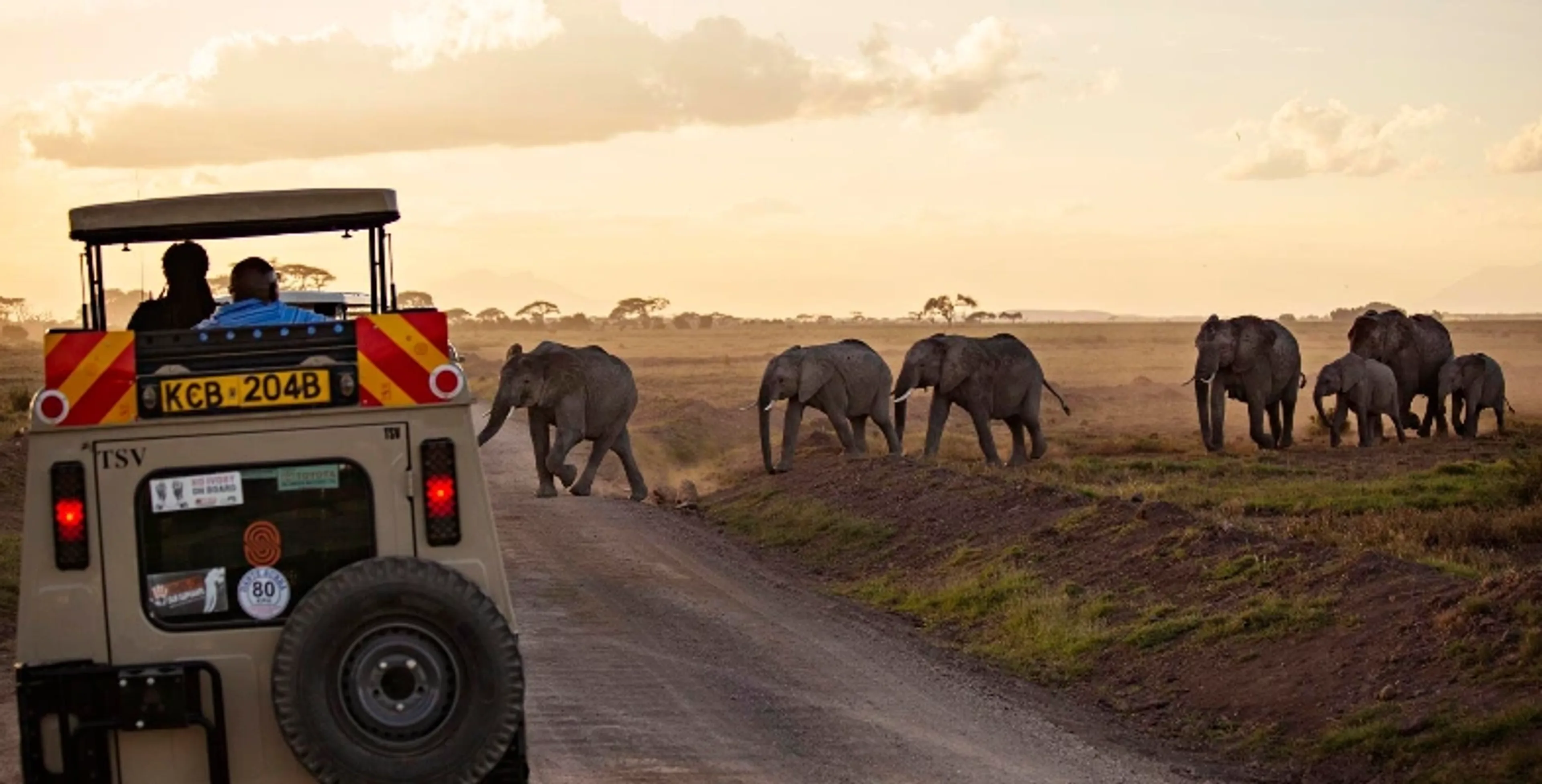 Luxury safari experience in Kenya with guided wildlife viewing