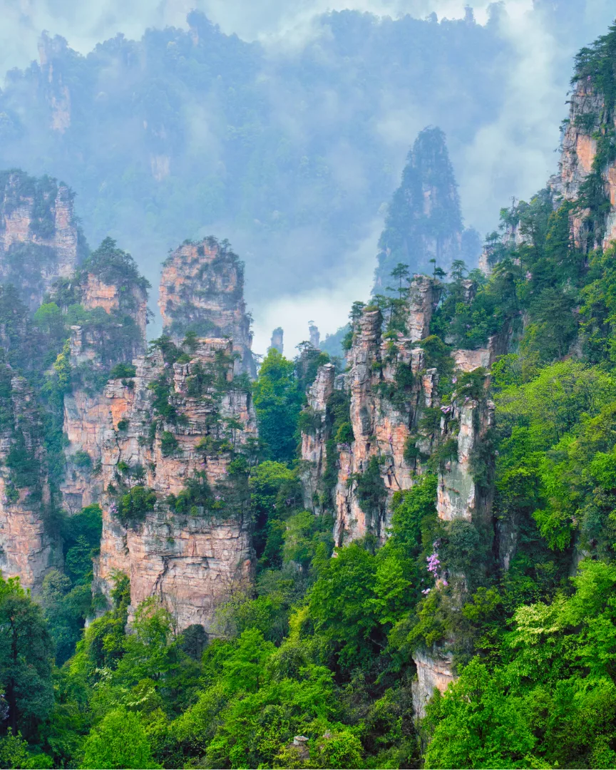 Mist-covered sandstone mountain pillars in a forested valley.