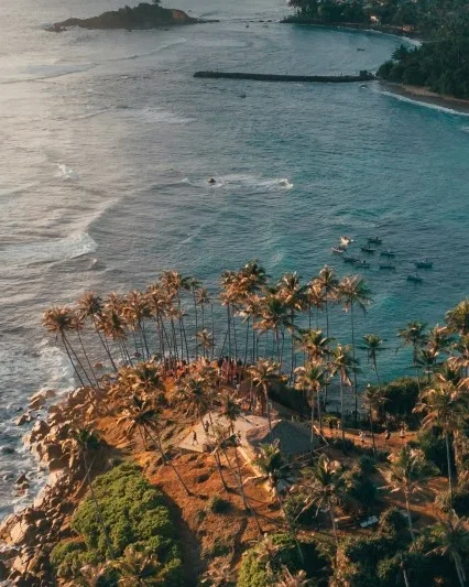 A World in One Island