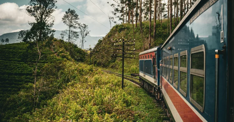 The scenic hill-country train winding past the tracks near Ella