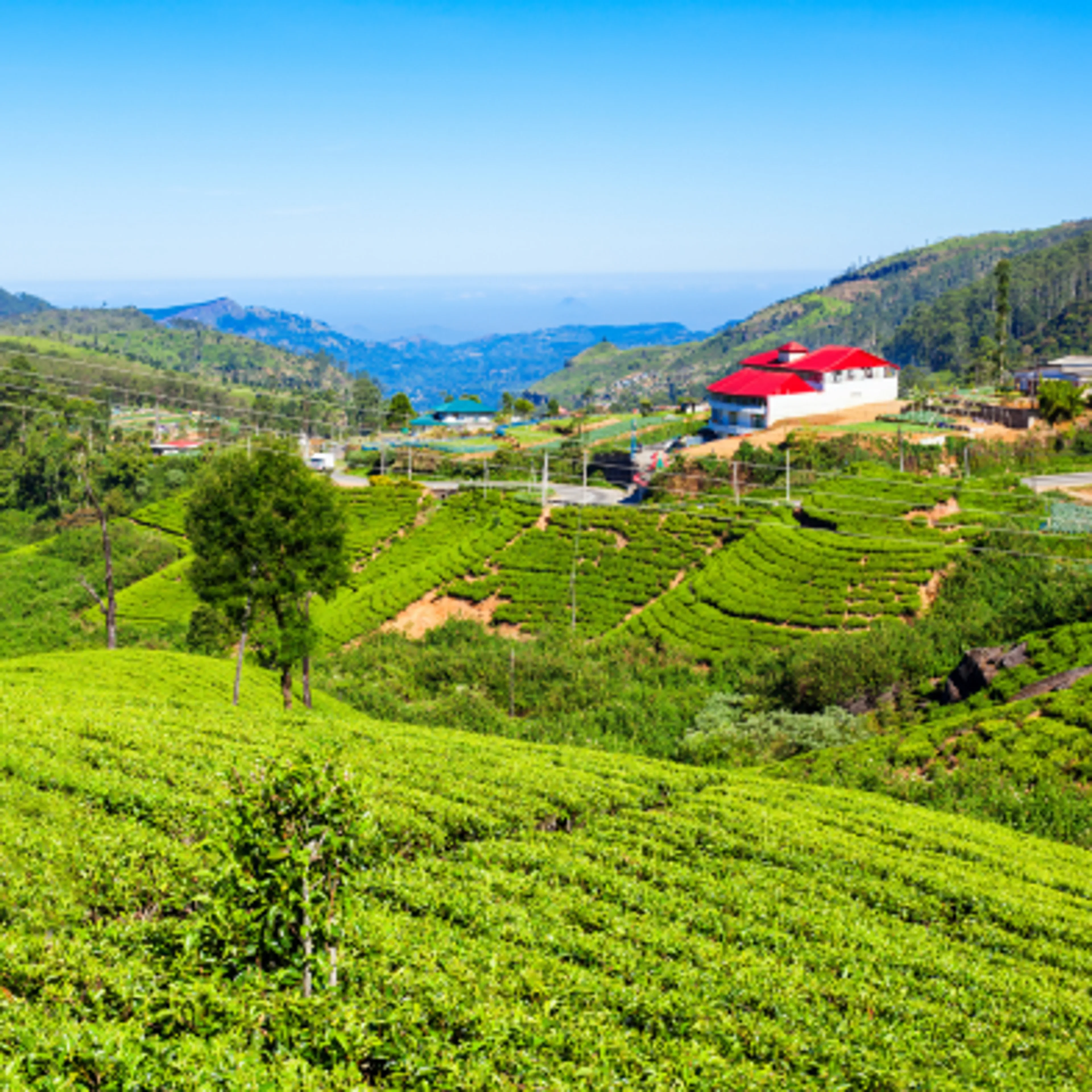 Nuwara Eliya — Sri Lanka travel destination