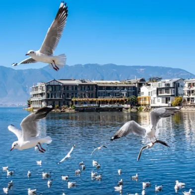 Private luxury yacht cruising Erhai Lake with the Cangshan Mountains in the background, Dali China