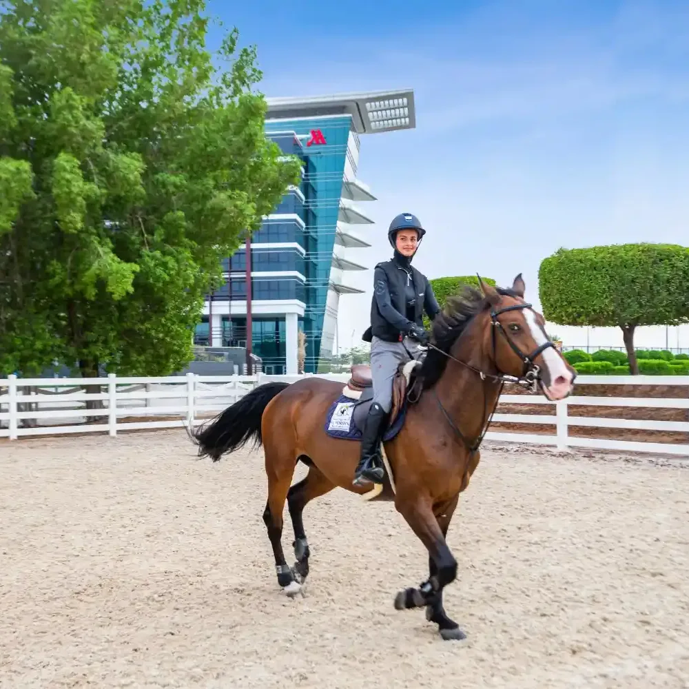 Horse riding and polo activity at Dubai polo and equestrian club