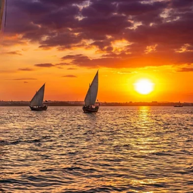 Traditional Swahili wooden dhow sailing past mangroves and stone ruins at sunset in Lamu Kenya