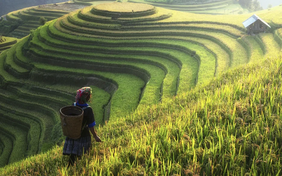 Vietnam travel destinations featuring Halong Bay, Hoi An, tropical islands, mountains, and vibrant city experiences