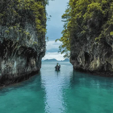 Bioluminescent plankton glowing in the water during a night kayaking tour in Phang Nga Bay