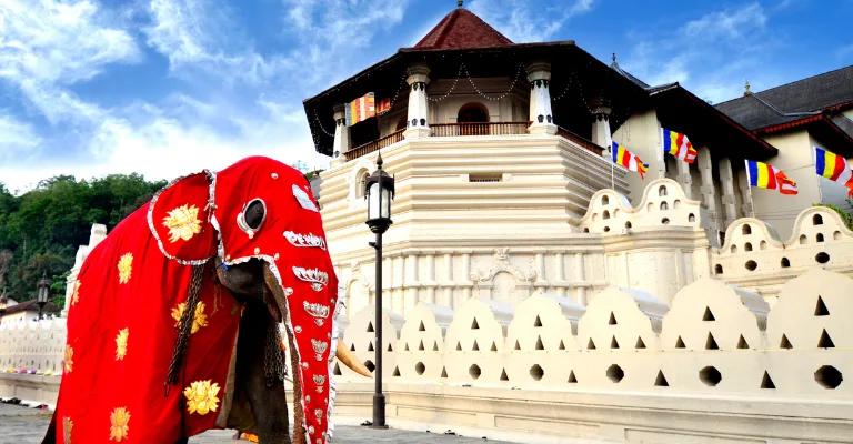 A decorated ceremonial elephant outside the Temple of the Sacred Tooth Relic in Kandy