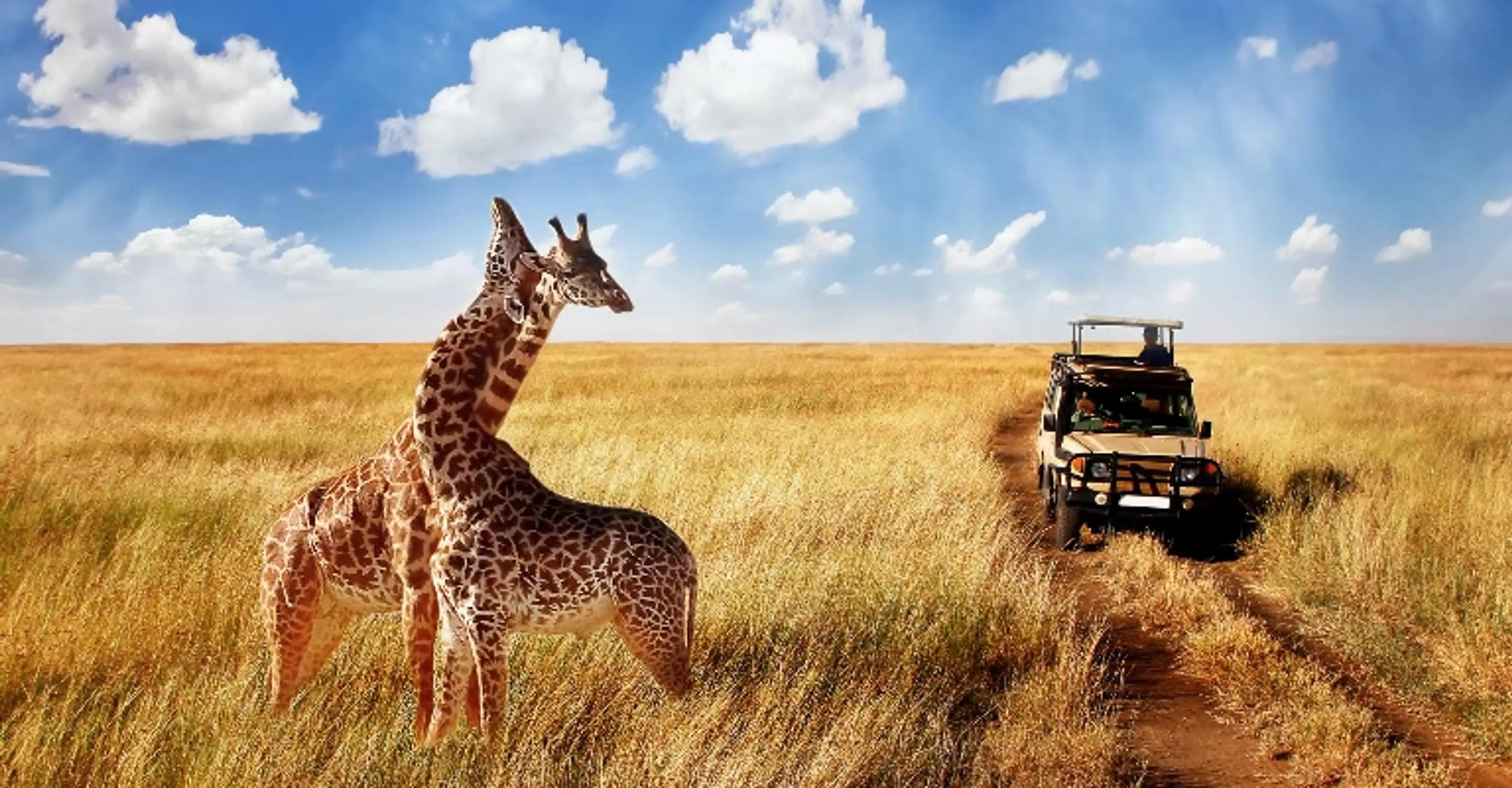 Safari vehicle on the road from Nairobi to the Masai Mara reserve