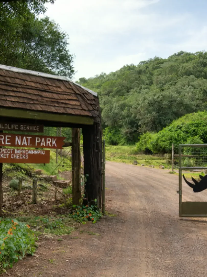 Safari Uncovered - Forests, Lakes & the Mara