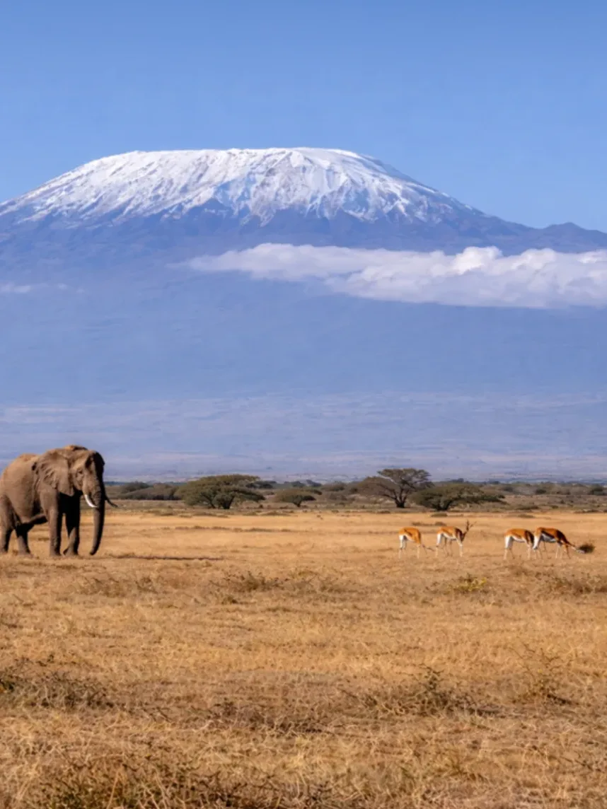 The Great Safari Journey