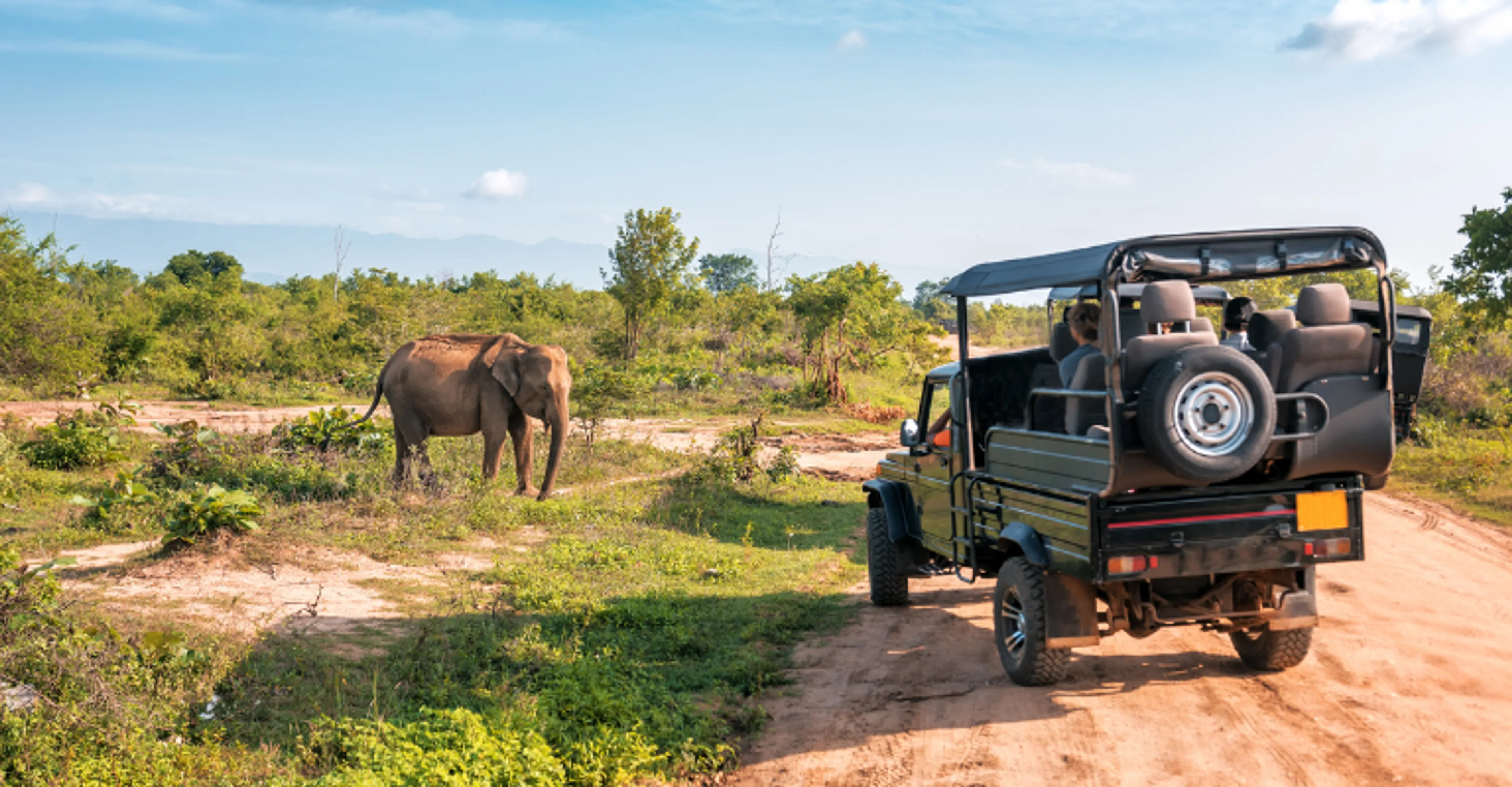 A safari jeep and an elephant on a dirt track in Yala National Park