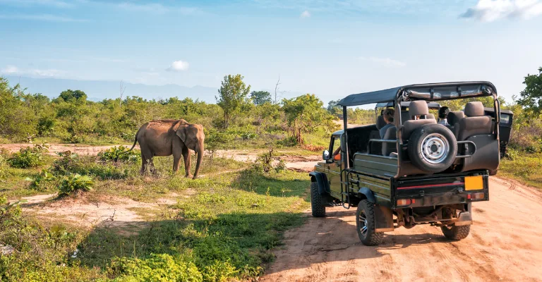 A safari jeep and an elephant on a dirt track in Yala National Park