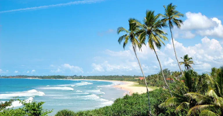 Palm trees framing a sunny beach and turquoise coastline in Sri Lanka