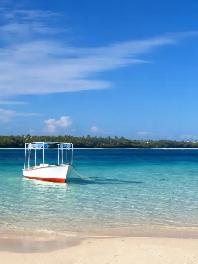 Coral reefs and tropical fish underwater in Mombasa Marine National Park
