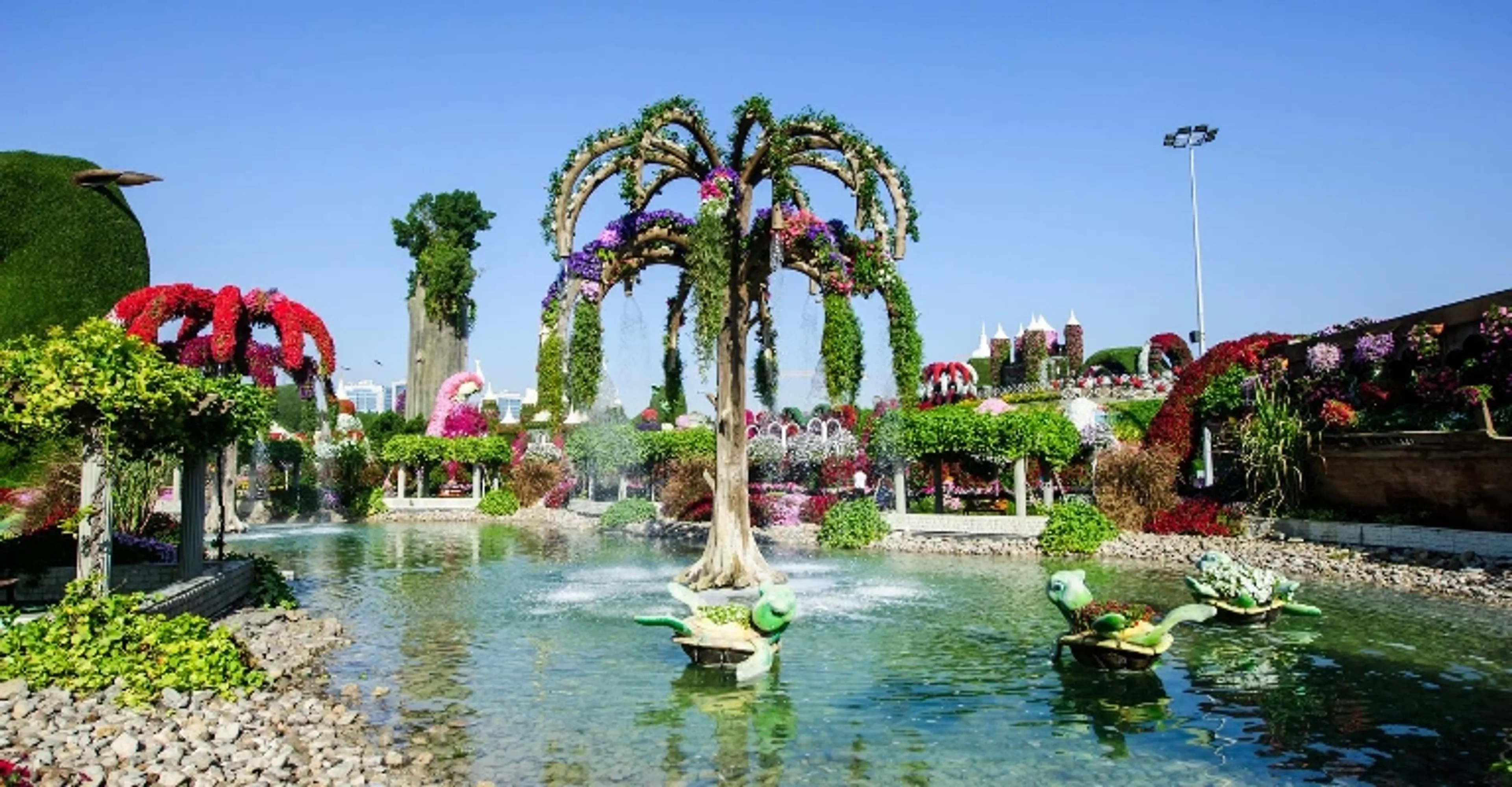Flower-lined pathways and colourful displays at Dubai Miracle Garden