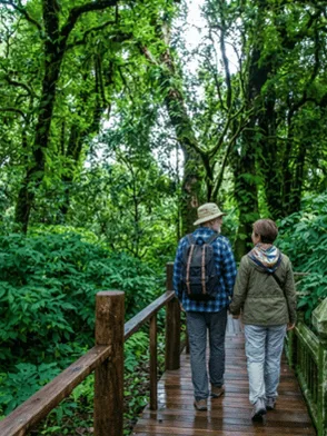 Nature trail through cloud forests and waterfalls at Doi Inthanon, Chiang Mai