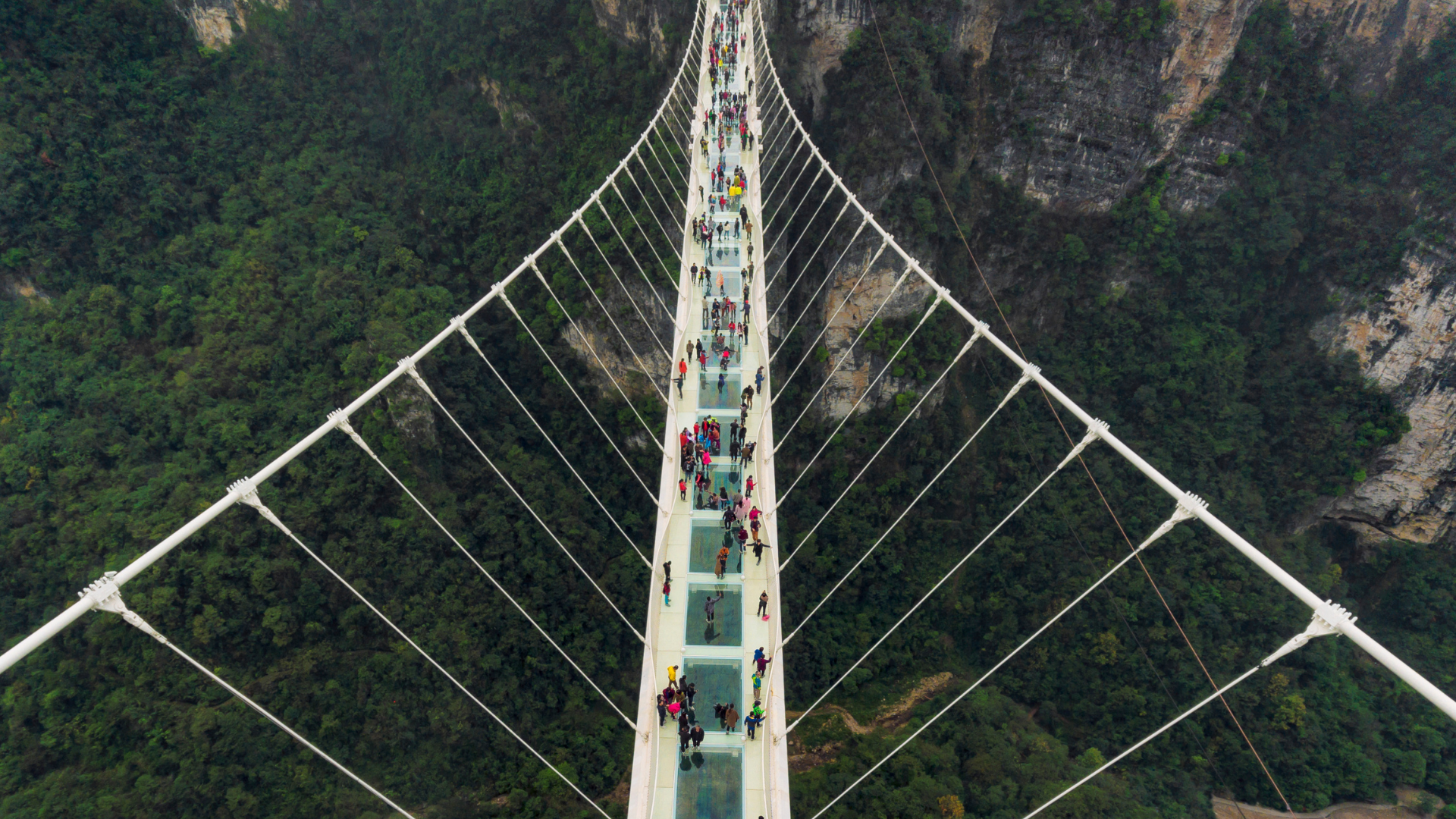 Glass suspension bridge over a forested canyon with tourists walking across.