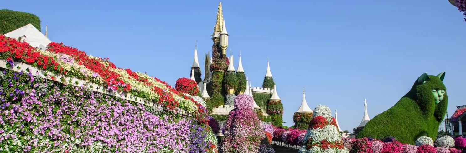 Dubai Miracle Garden featuring colourful floral displays and themed gardens