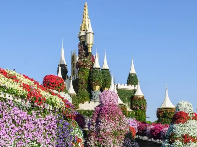 Dubai Miracle Garden featuring colourful floral displays and themed gardens