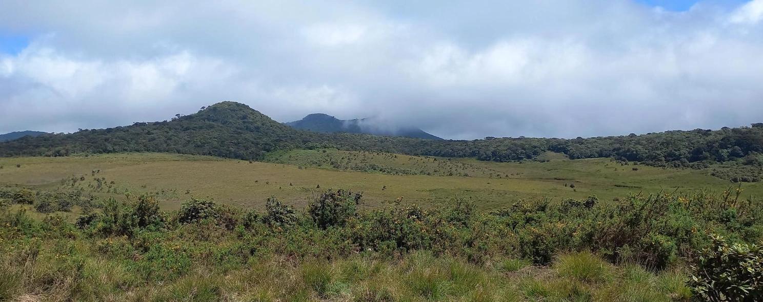 Grassy highland plateau with misty hills in the distance