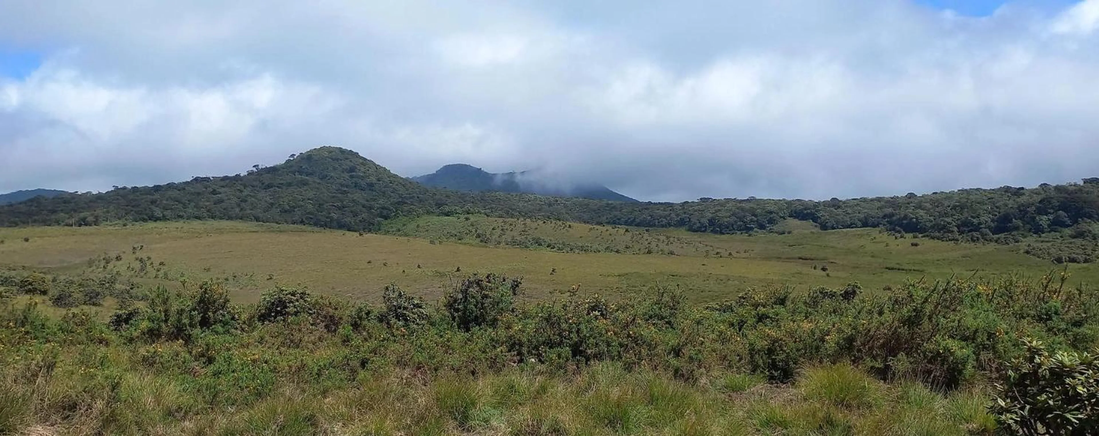Grassy highland plateau with misty hills in the distance