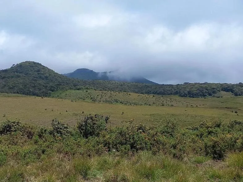 Grassy highland plateau with misty hills in the distance