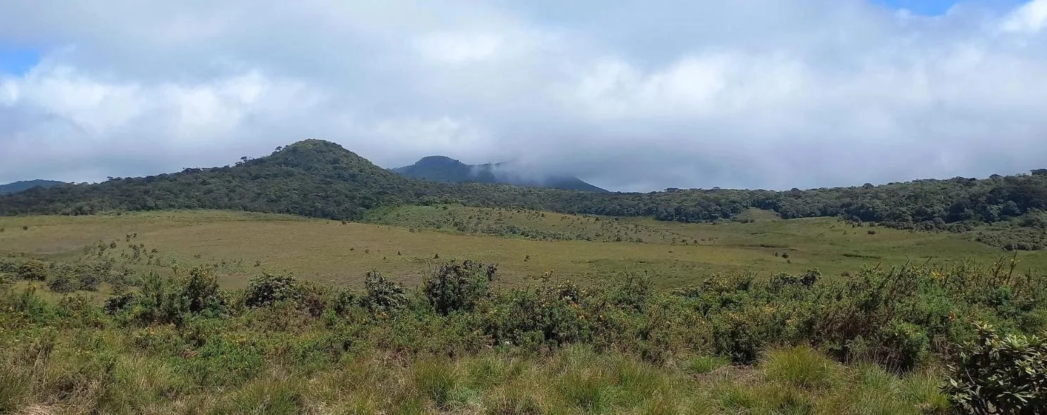 Grassy highland plateau with misty hills in the distance