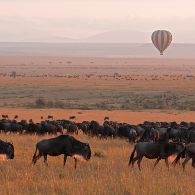 Hot air balloon rising at sunrise over the wildlife-filled plains of the Masai Mara Kenya