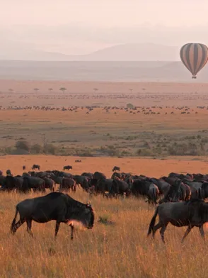 Hot air balloon rising at sunrise over the wildlife-filled plains of the Masai Mara Kenya