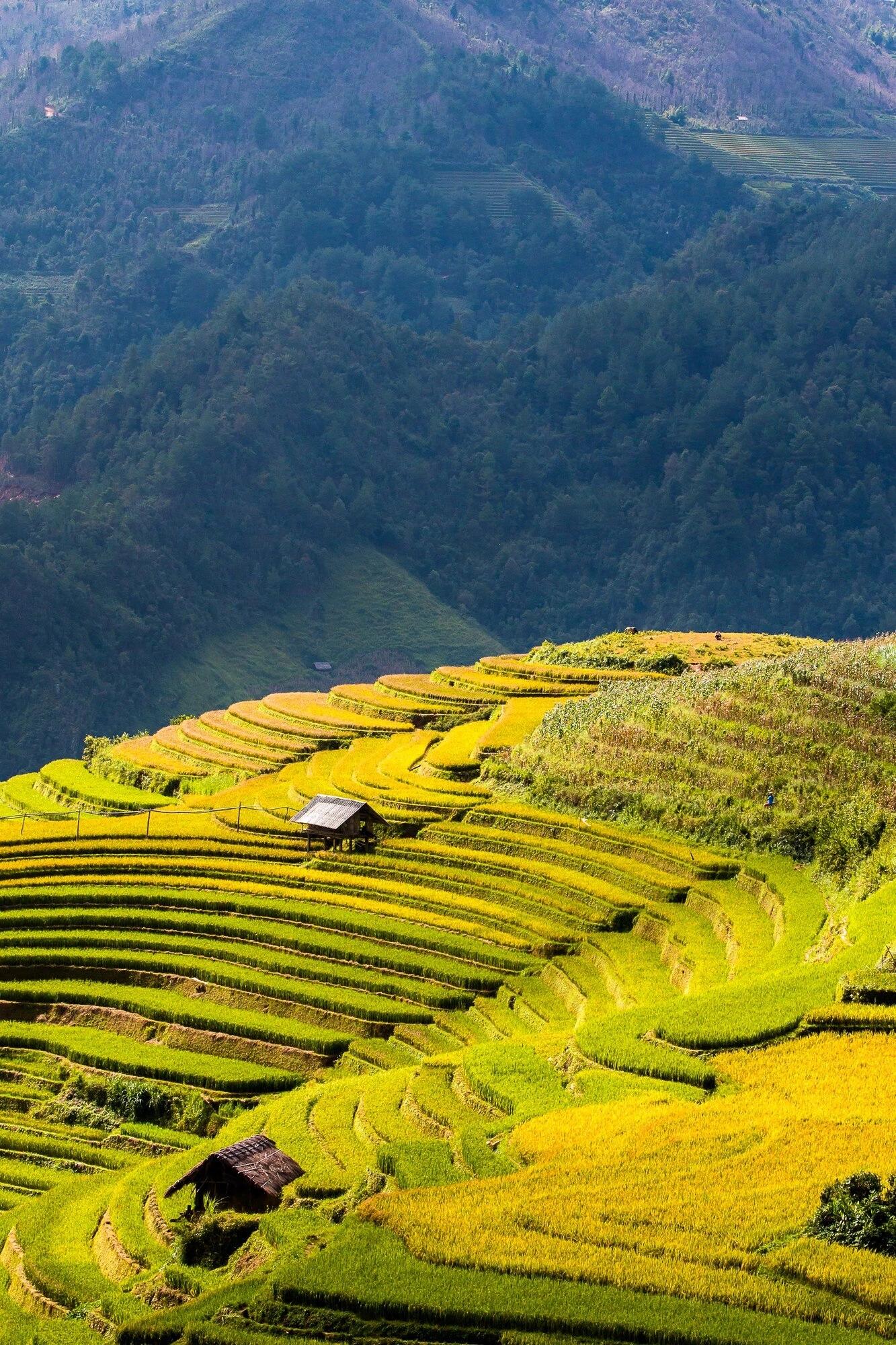 Sa Pa — Vietnam travel destination