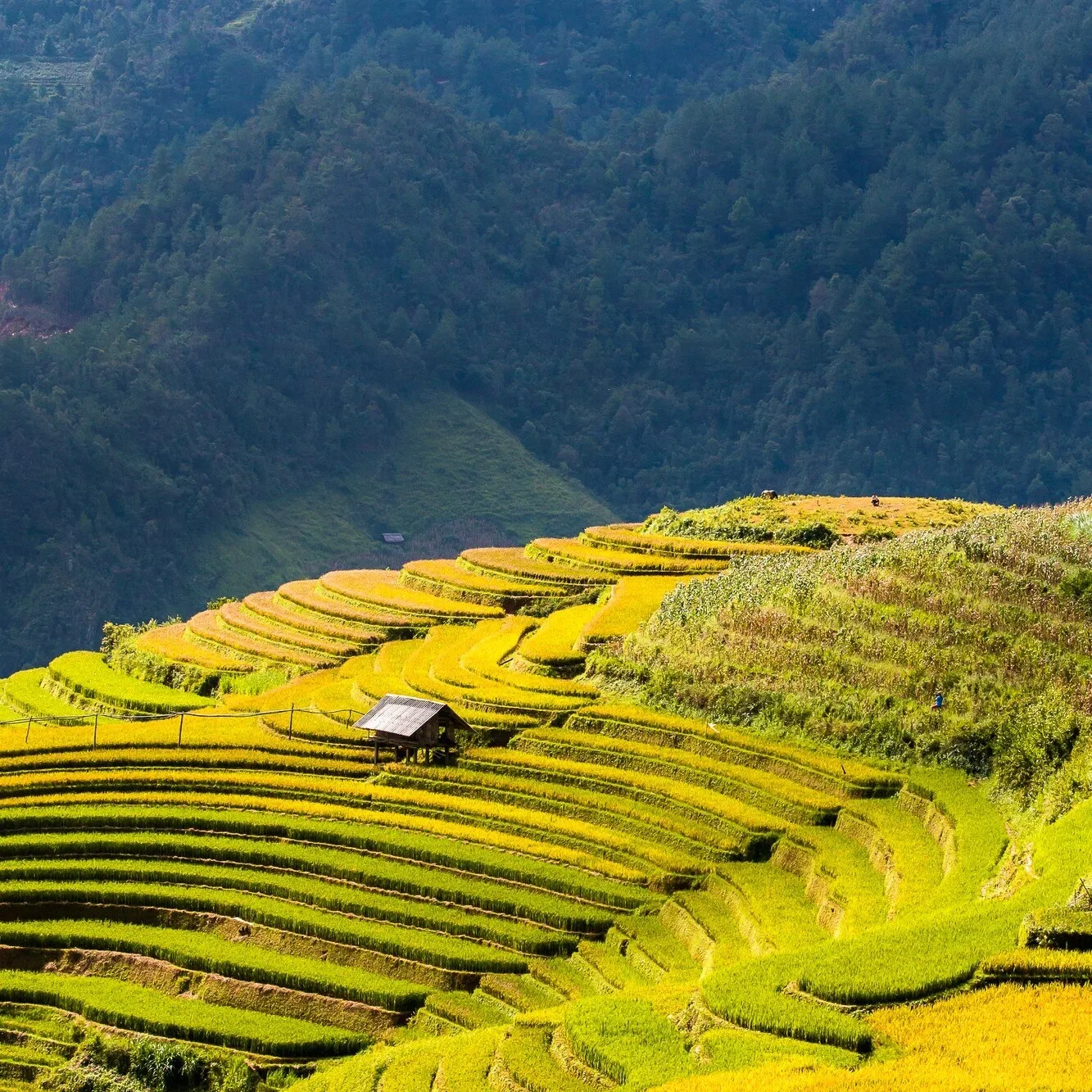 Sa Pa — Vietnam travel destination