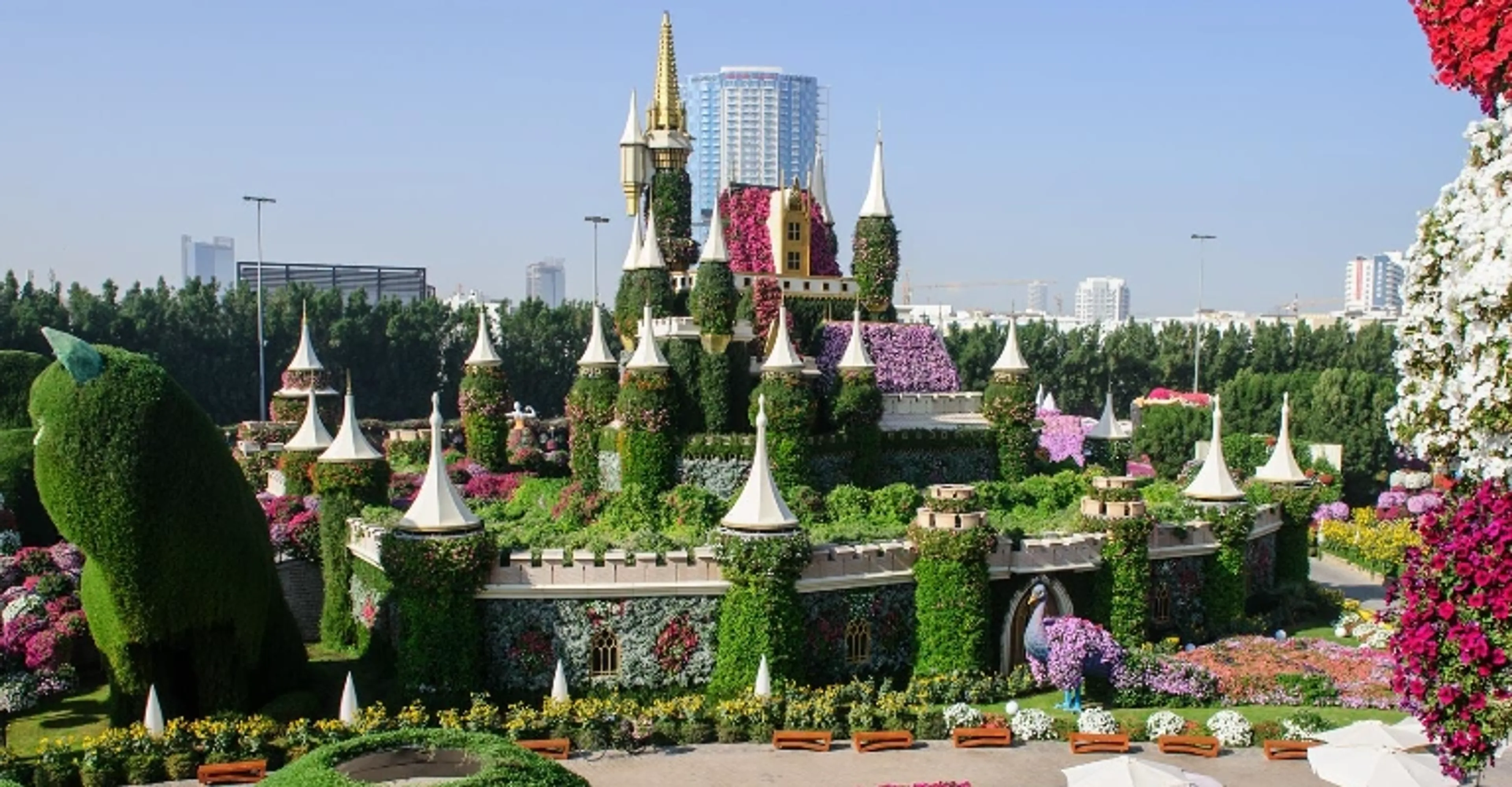 Floral castle display at Dubai Miracle Garden