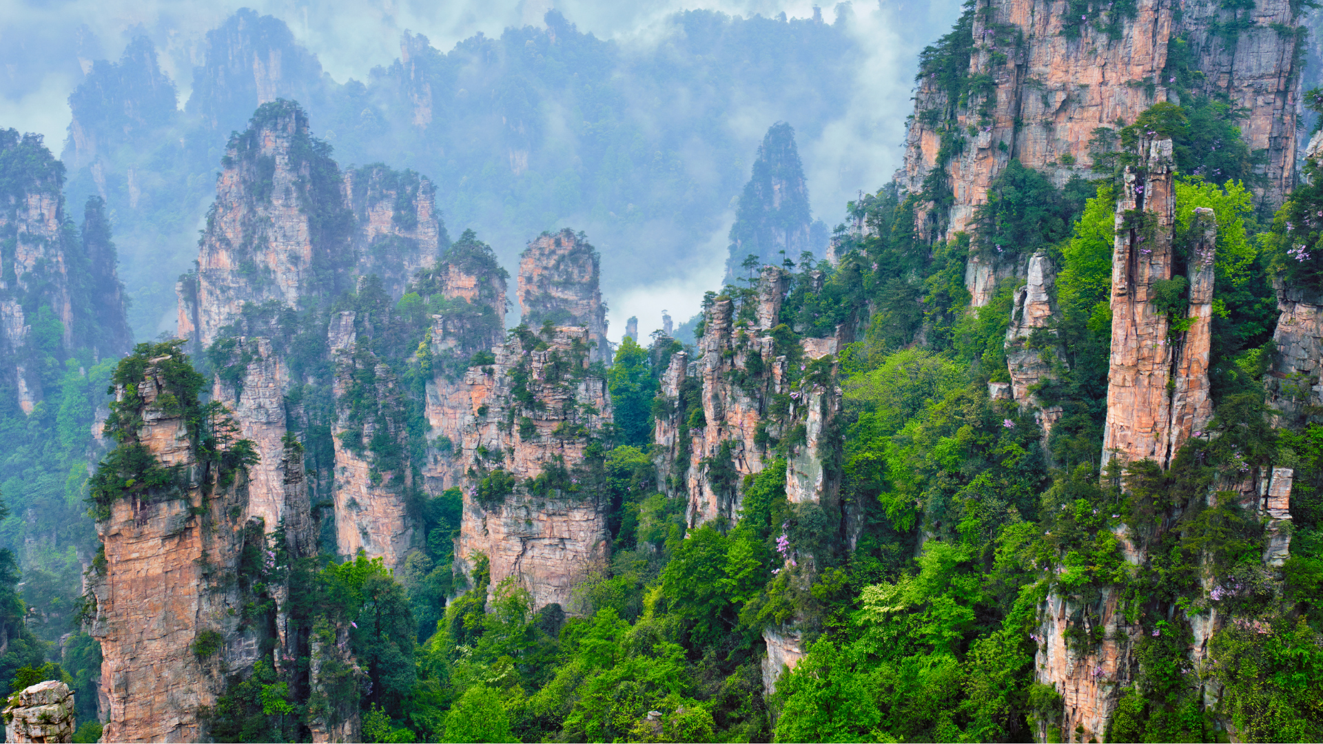 Mist-covered sandstone mountain pillars in a forested valley.