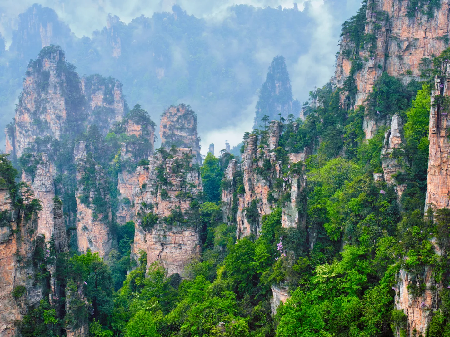 Mist-covered sandstone mountain pillars in a forested valley.