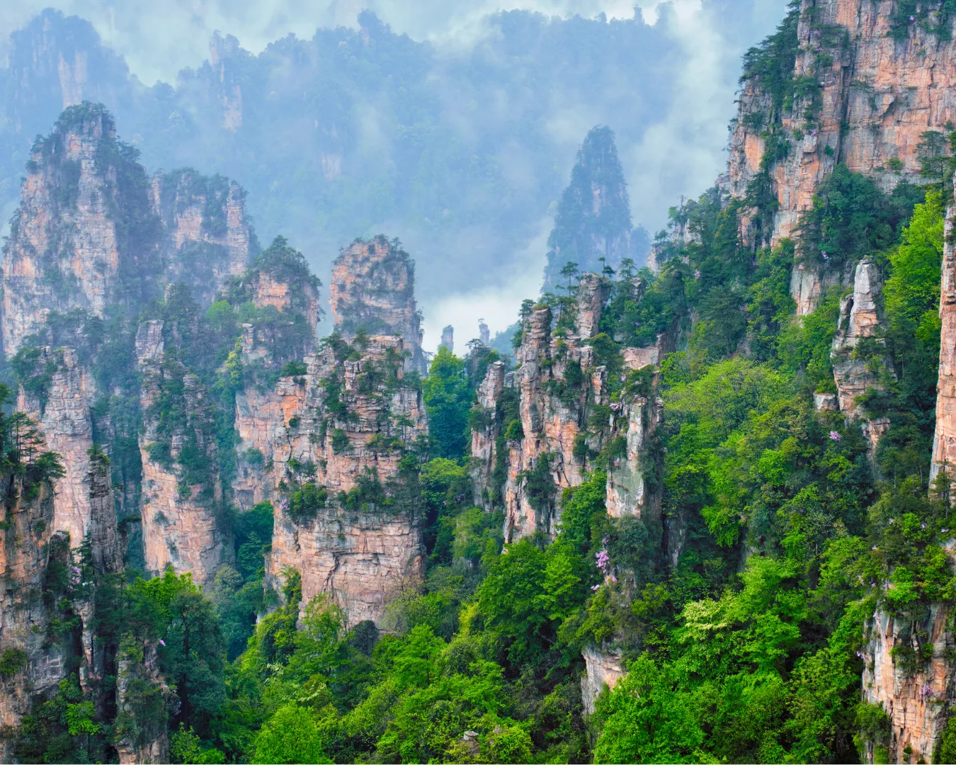 Mist-covered sandstone mountain pillars in a forested valley.