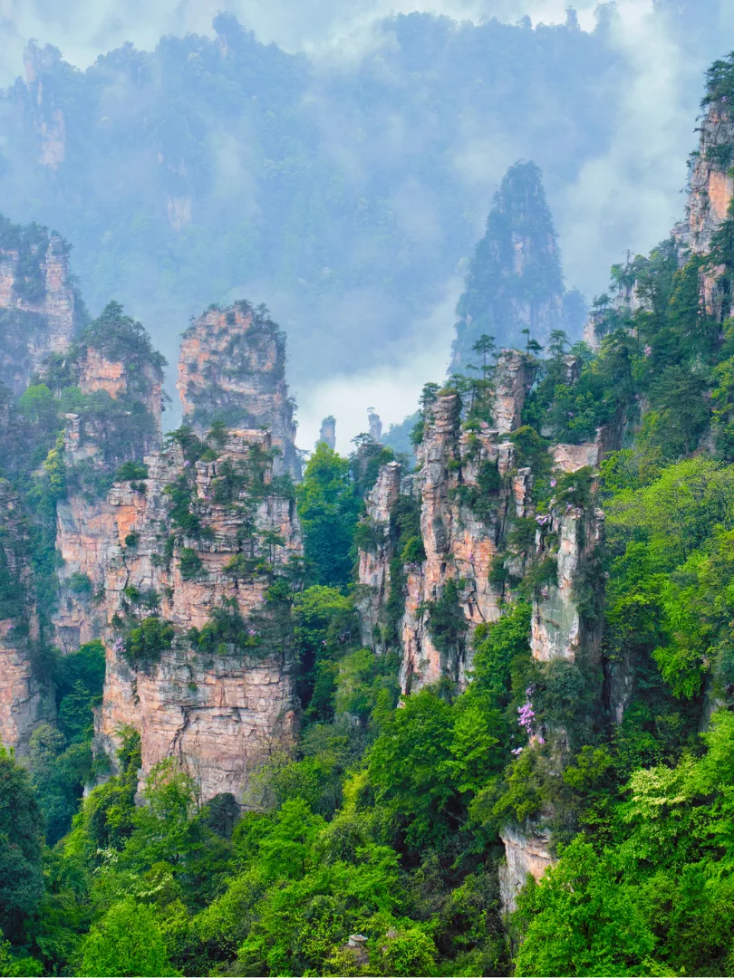 Mist-covered sandstone mountain pillars in a forested valley.