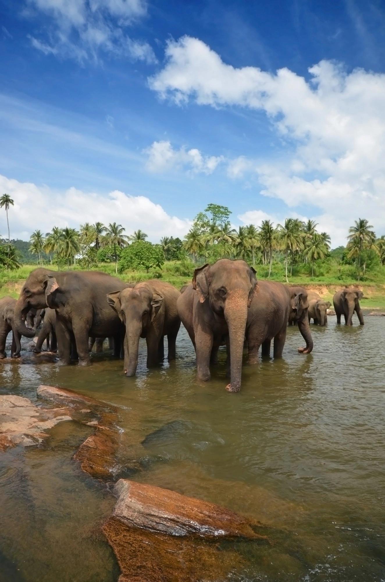 Sri Lanka travel destination