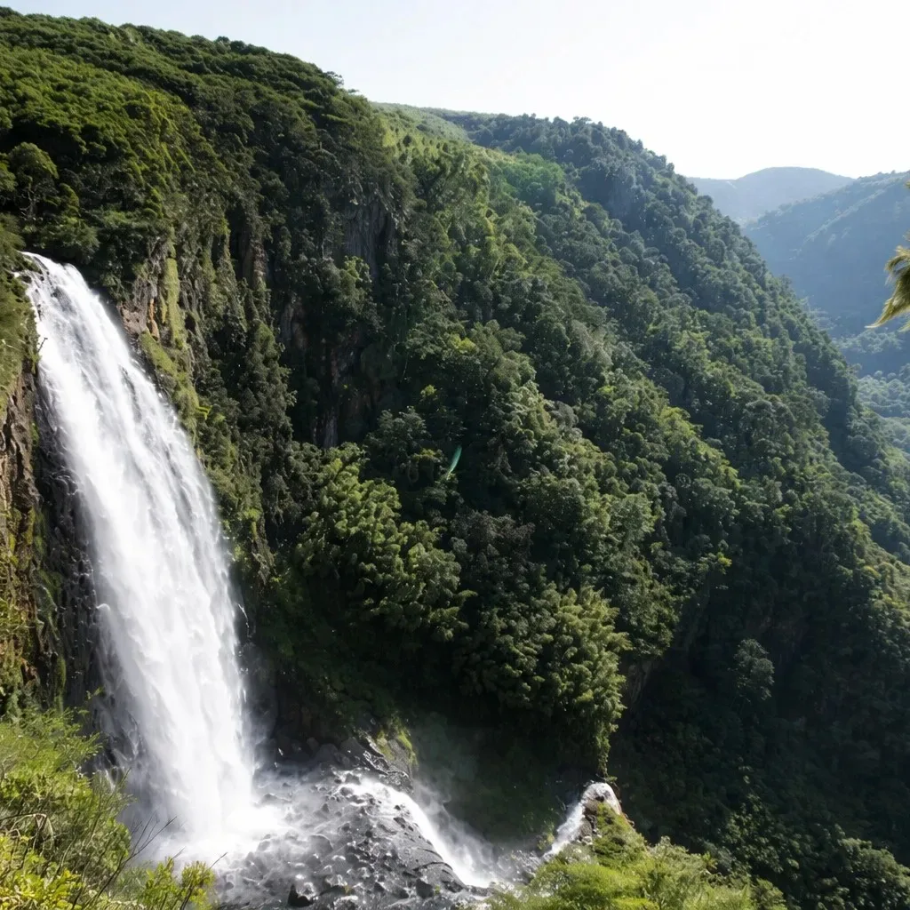 Dense forest landscape and waterfalls in Aberdare National Park, Kenya