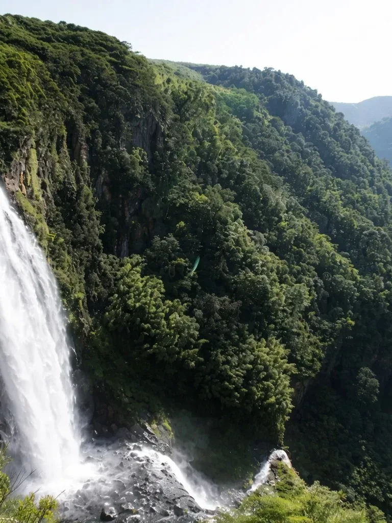 Dense forest landscape and waterfalls in Aberdare National Park, Kenya