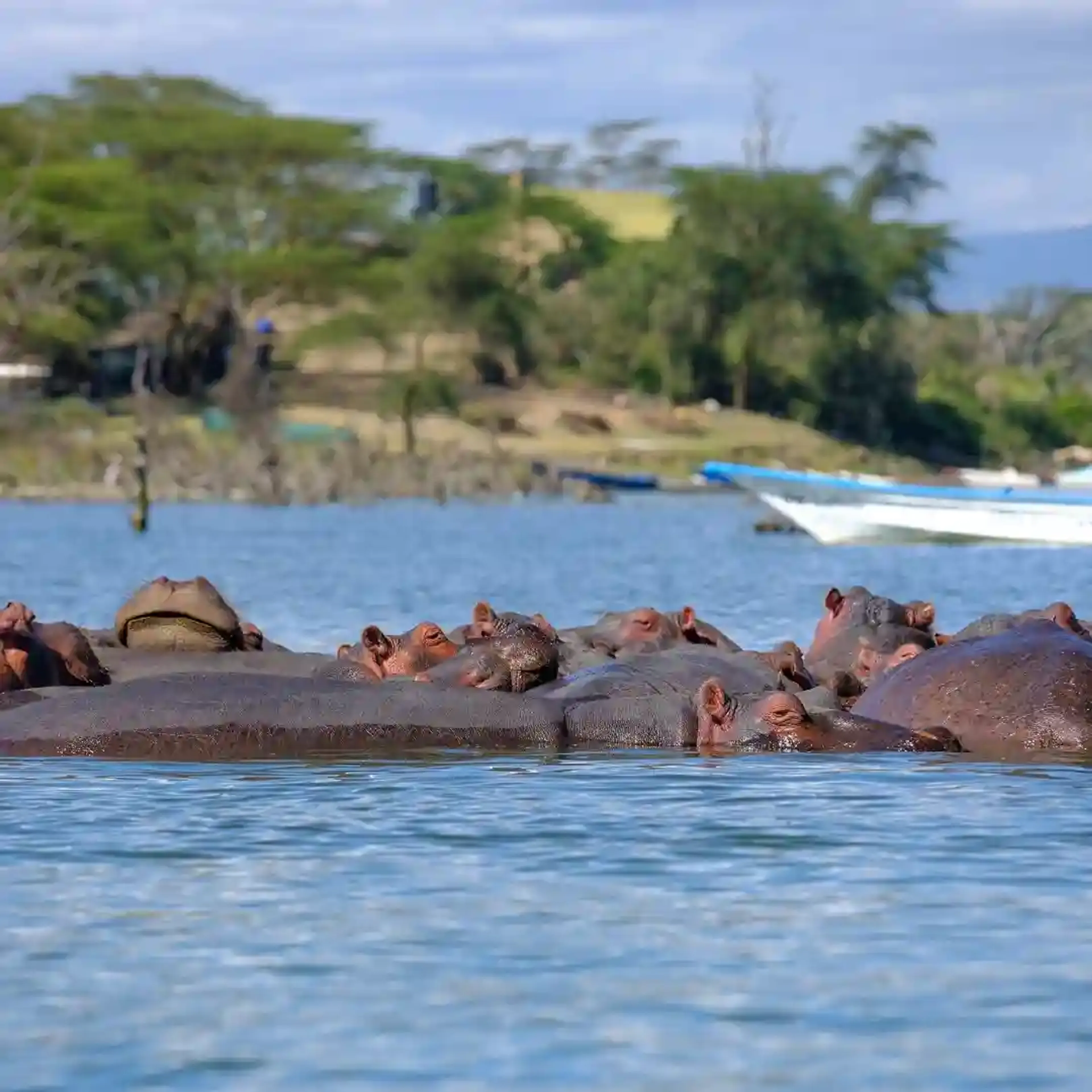 Lake Naivasha — Kenya travel destination