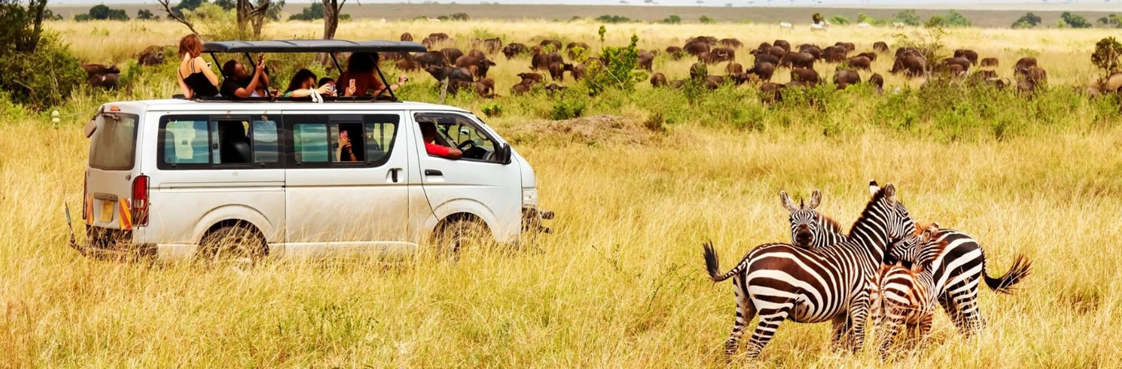 Masai Mara Trip Cost from India: 2026 Price Breakdown
