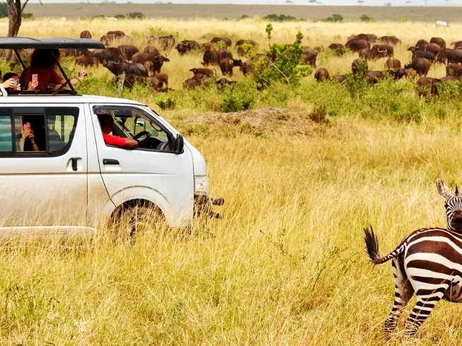 Masai Mara Trip Cost from India: 2026 Price Breakdown