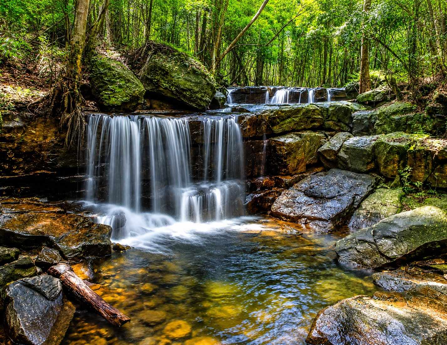 Phu Quoc National Park with tropical forest landscapes and nature trails