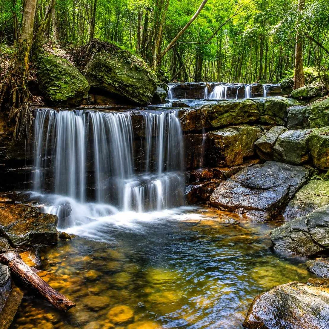 Phu Quoc National Park with tropical forest landscapes and nature trails