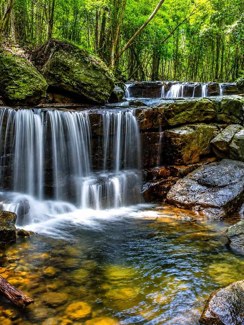 Phu Quoc National Park with tropical forest landscapes and nature trails