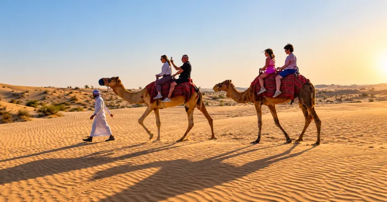 Family on a camel ride in the Abu Dhabi desert at sunset