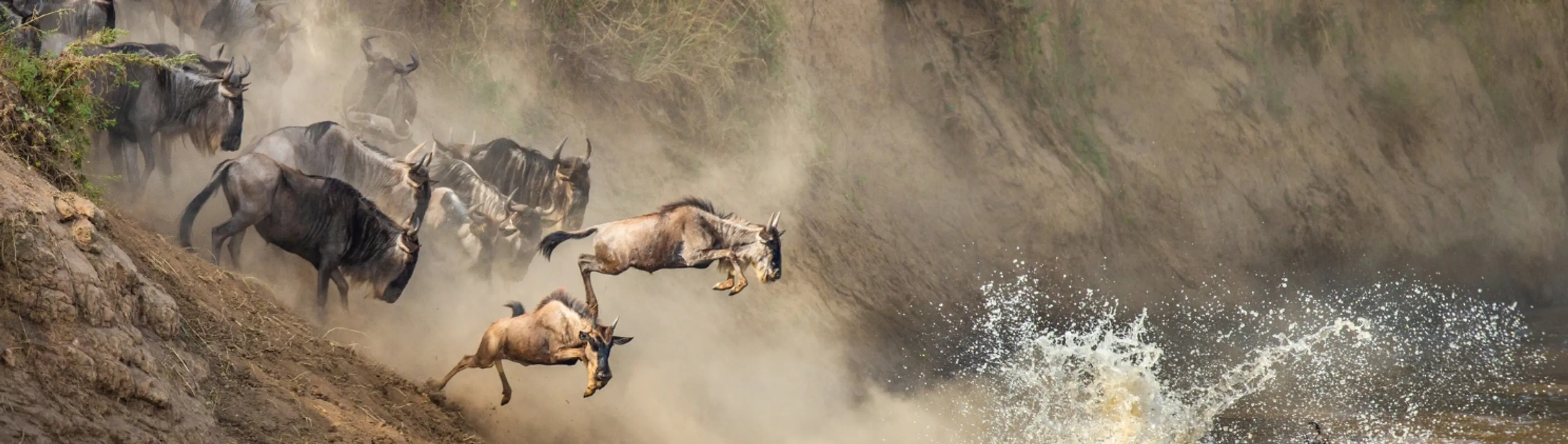 Kenya safari landscape in Maasai Mara with wildlife and open savannah showcasing unique travel experiences
