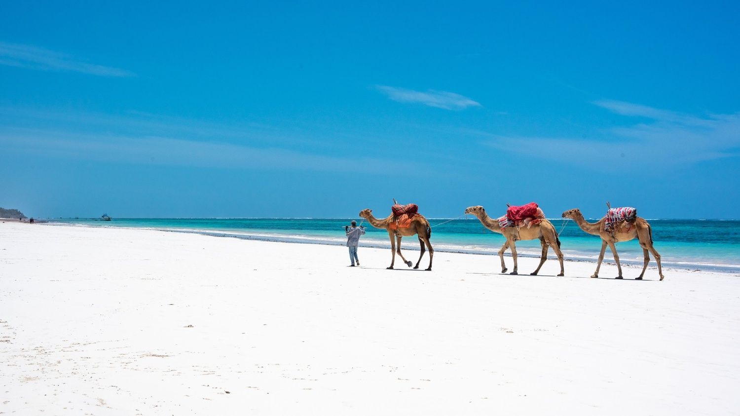 Experience Kenya's Wild Coast